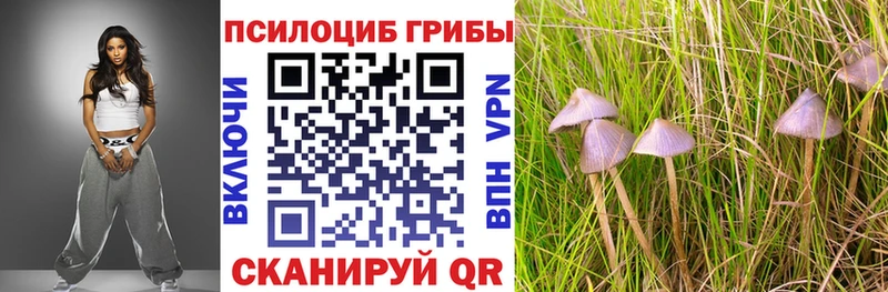 Галлюциногенные грибы Magic Shrooms MEGA зеркало Качканар